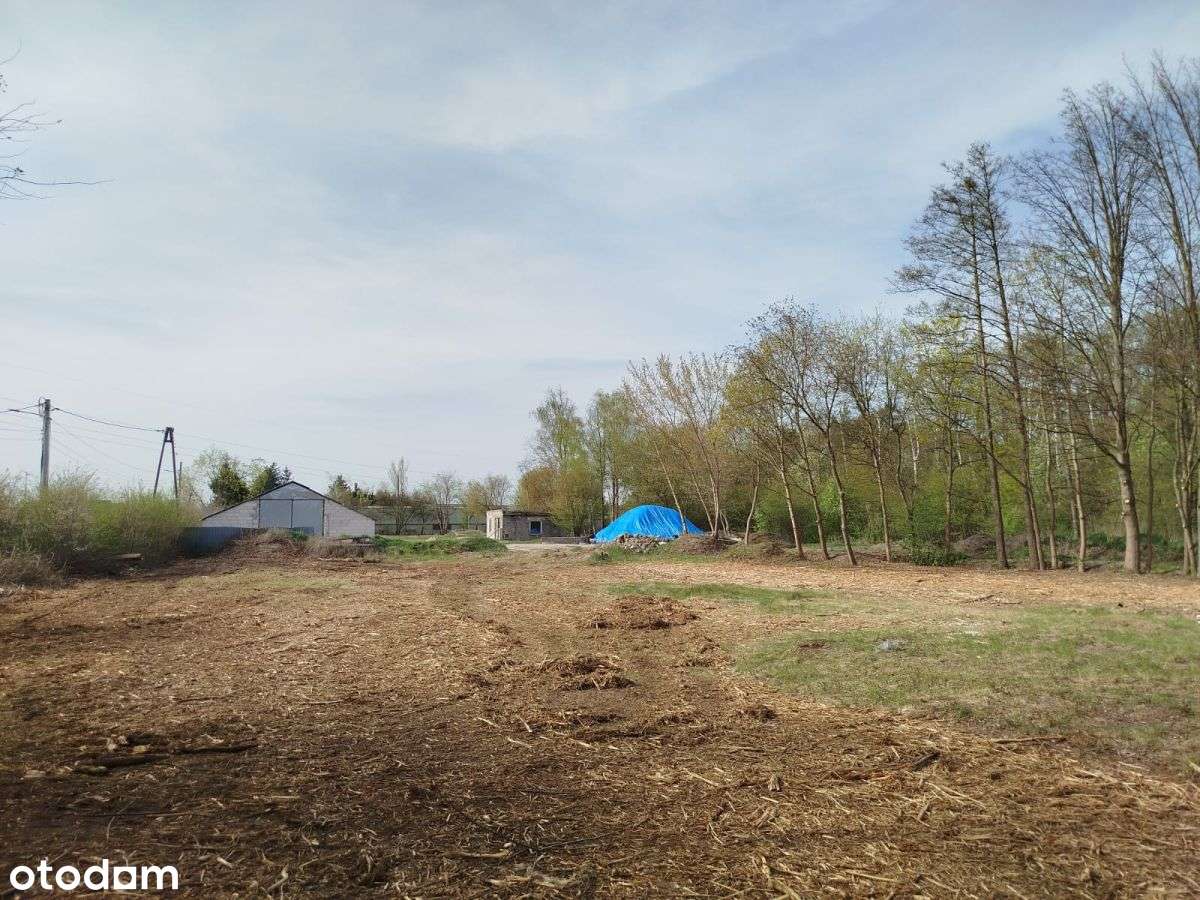 Skrzeszew, Usługi/Handel, tuż przy DW 631 - Pełny obrazek: 4/10