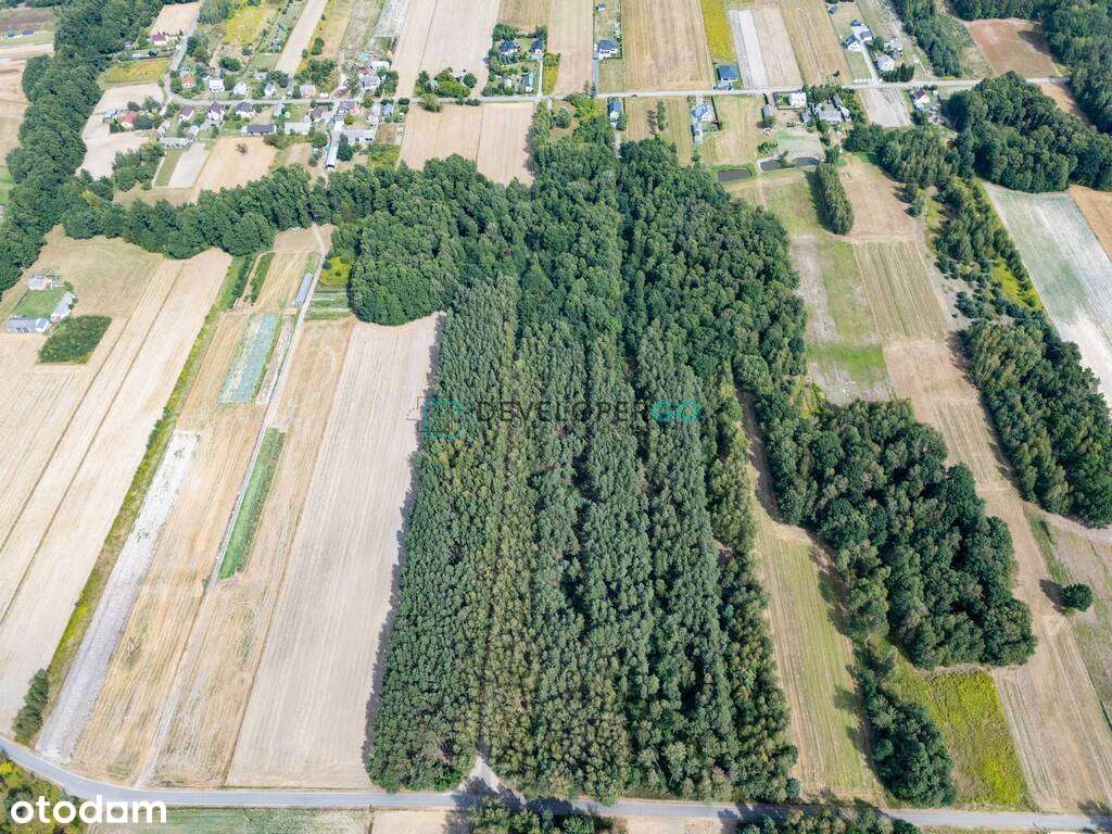 Działki budowlane z lasem - Kochanów - Pełny obrazek: 4/6
