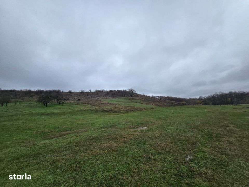 Teren  100.000 mp, Recea-Albota-4