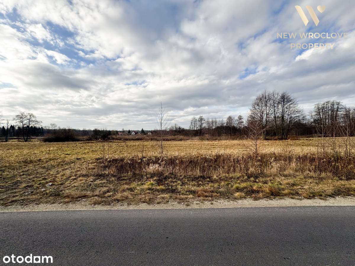 Działka rolna Trzęsowice, możliwość negocjacji - Pełny obrazek: 4/6