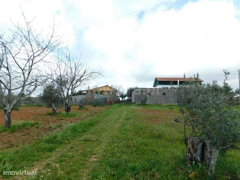 Terreno / Seia, Sameice e Santa Eulália - Grande imagem: 2/17