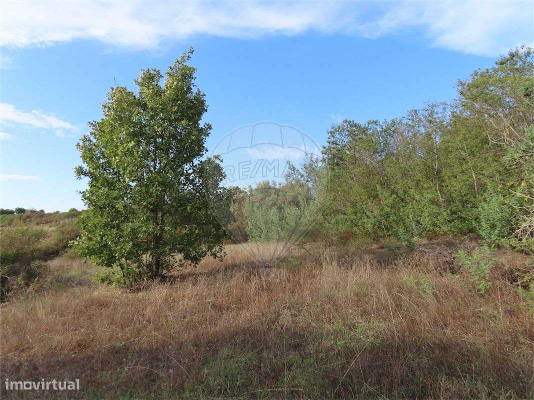 Quinta  para venda - Grande imagem: 4/25