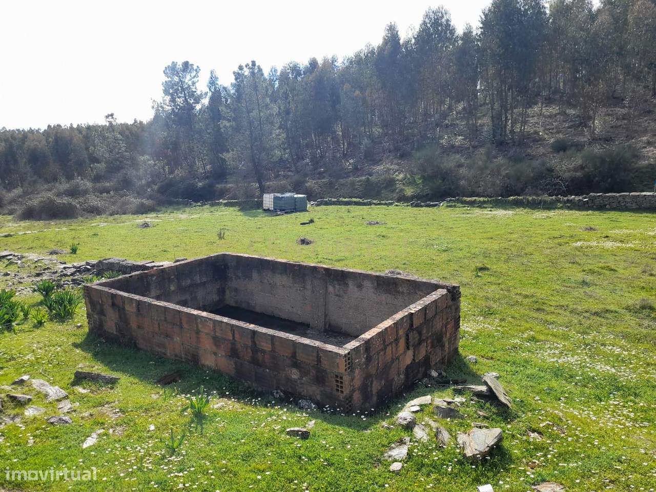 Terreno rústico, Salgueiro do Campo, Castelo Branco - Grande imagem: 4/16