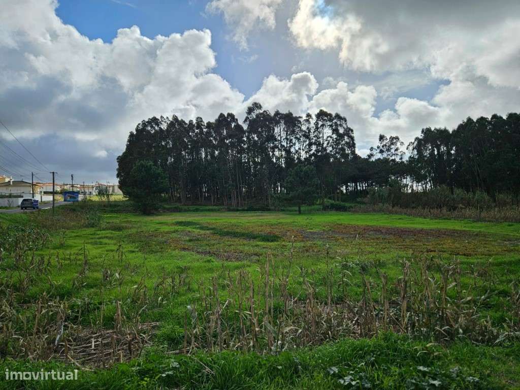Terreno junto à entrada do Eco resort Bukubaki - Grande imagem: 3/6