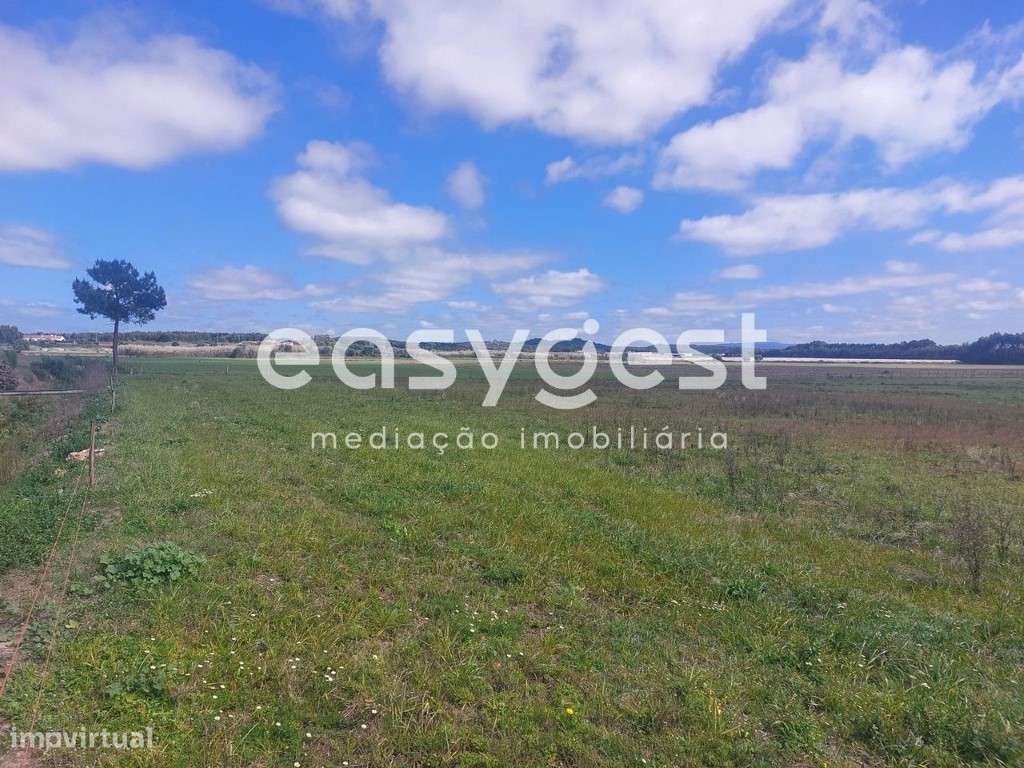 Terreno Rústico com 39.390m2 localizado na freguesia de São Teotónio - Grande imagem: 5/15