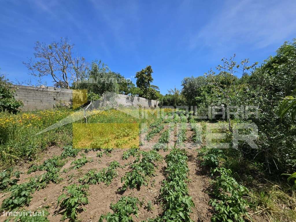 Terreno Rústico com 1.000 m2 na Malveira-Mafra.-23