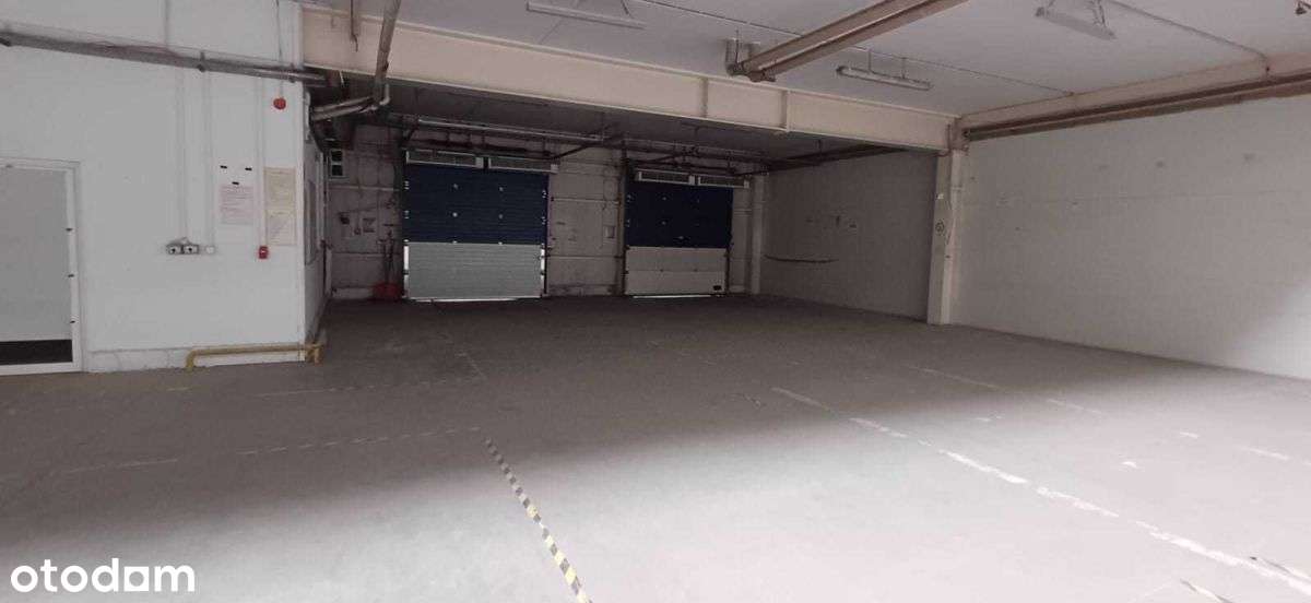 Magazyn z Dokami - Pełny obrazek: 2/8