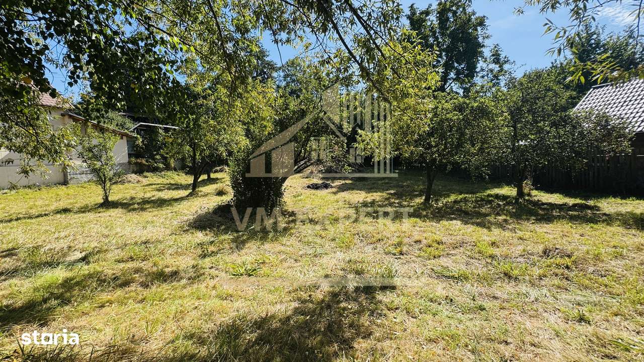 TEREN INTRAVILAN 3234 MP LEREȘTI VOINEȘTI ARGEȘ-11