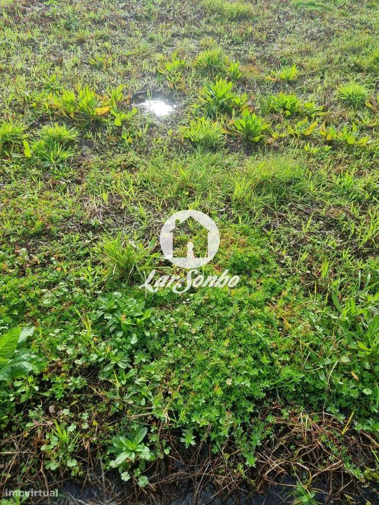 Excelente terreno em Esposende para Construção de Moradias-6