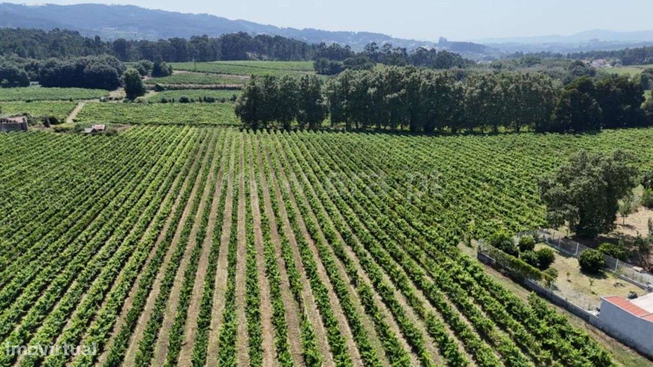 Terreno para Construção / Lousada, Caíde de Rei - Grande imagem: 5/6