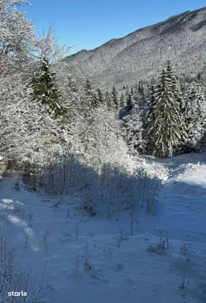 Teren Cioplea Predeal - Imagine principală: 4/7