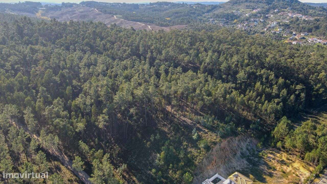 Terreno Rústico localizado na periferia de Ourém! - Grande imagem: 3/11