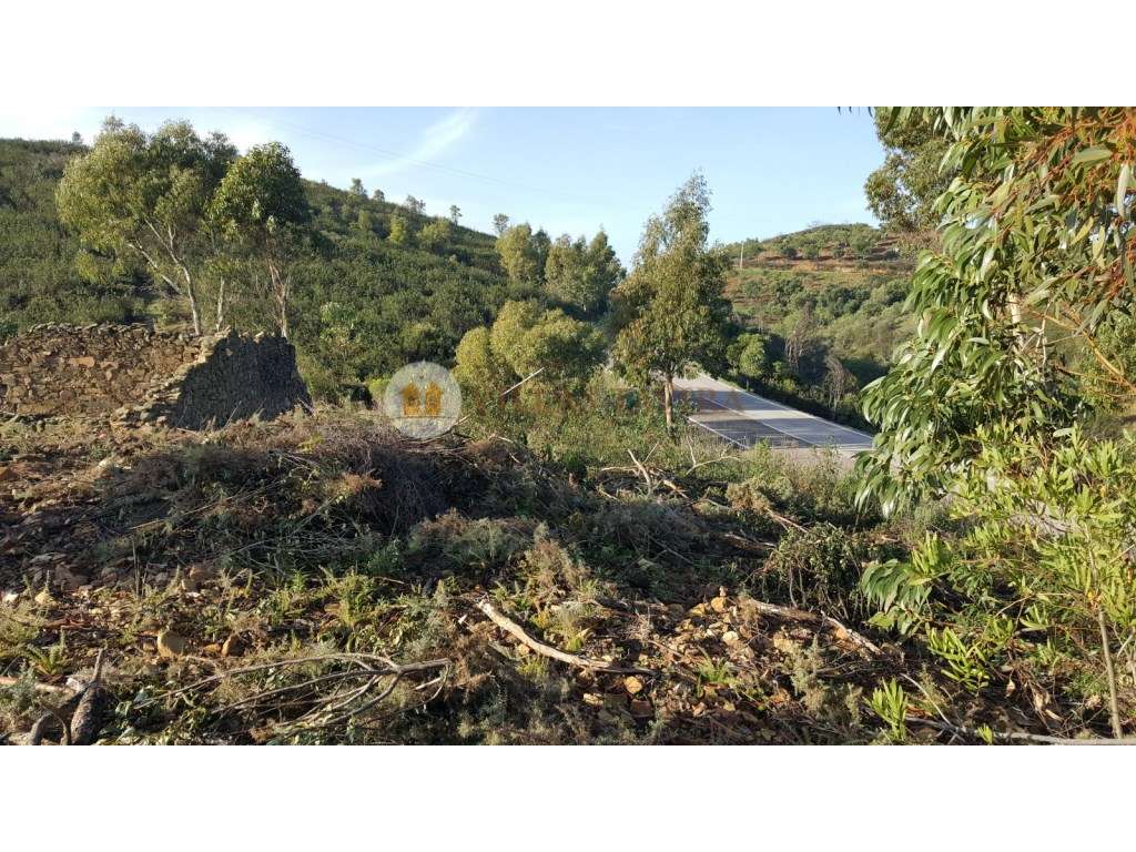 Terreno com Ruína e Vistas Panorâmicas - Serra e Mar | Próximo de T... - Grande imagem: 4/26