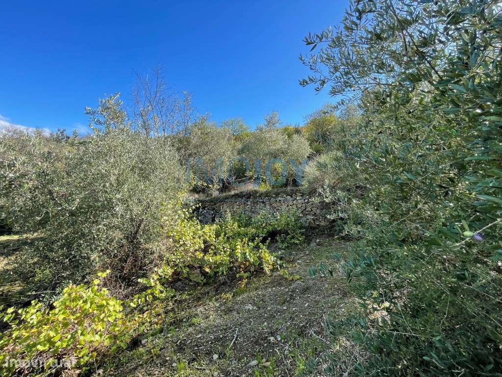 Terreno Rústico em Vila Nova de Foz Côa no Douro - Grande imagem: 5/21