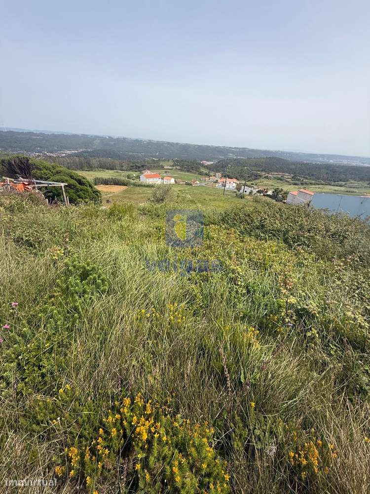 Terreno com Projeto  para Moradia T4 com Piscina – Serra da Pescaria,-15