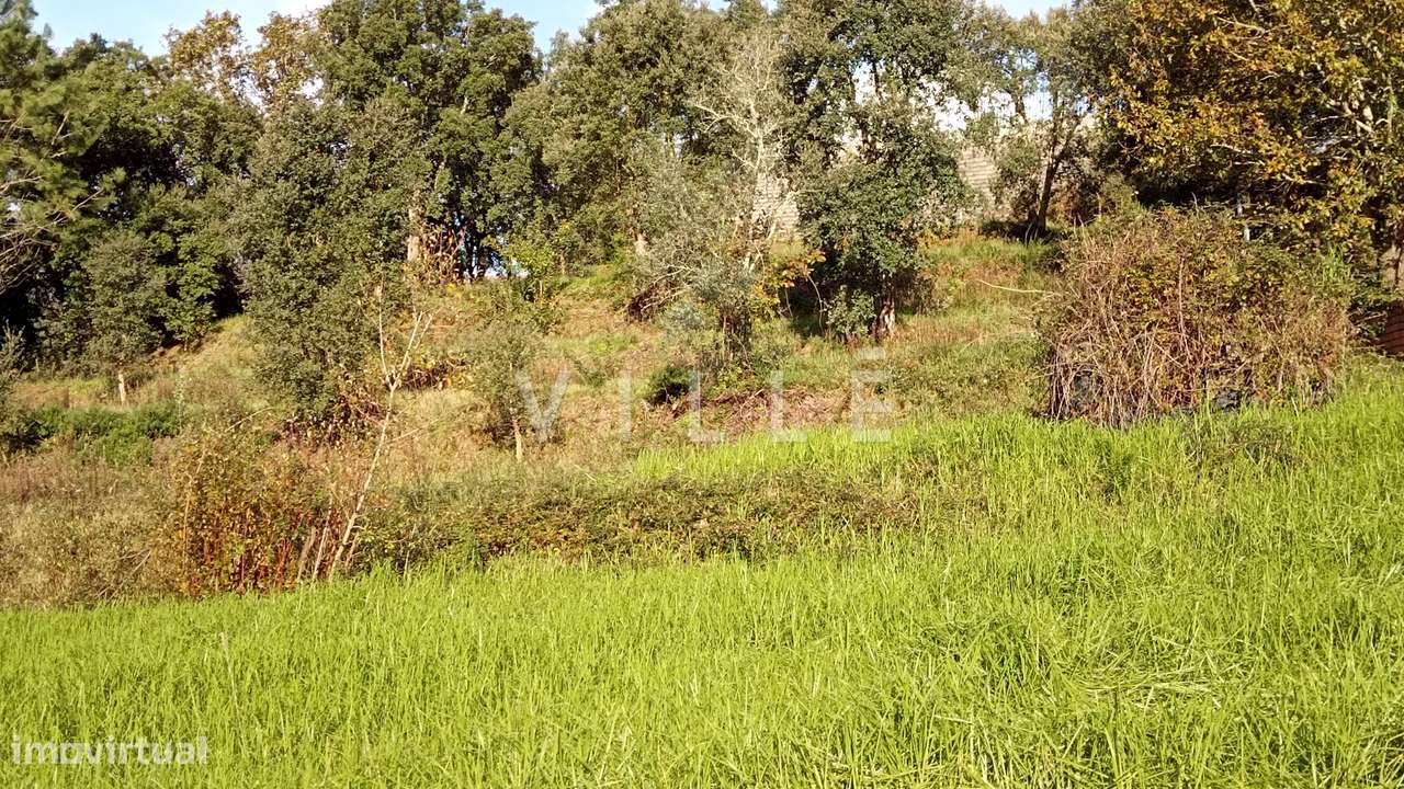 Terreno para construção em Macinhata do Vouga - Águeda. - Grande imagem: 5/6