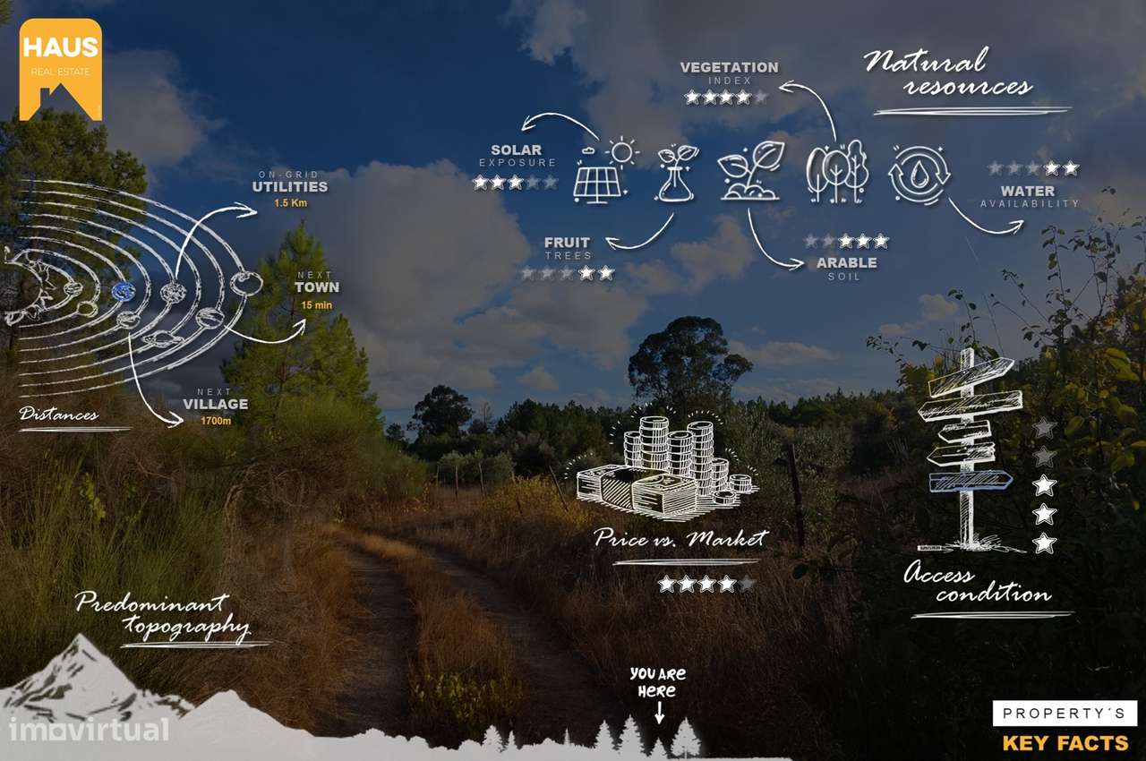 Terreno Rústico de 2.700 m² – Muros em Granito, Pinhal Adulto, Árvores - Grande imagem: 4/24