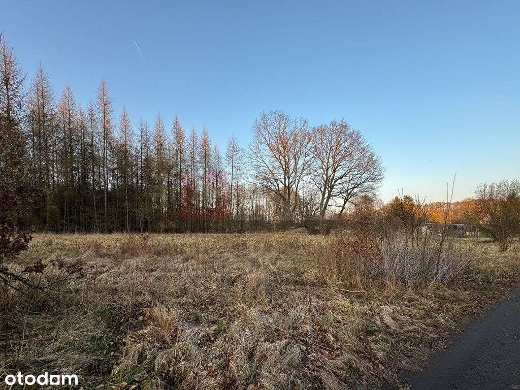 Błotny Młyn 903 m2 działka przy lesie na sprzedaż!-1