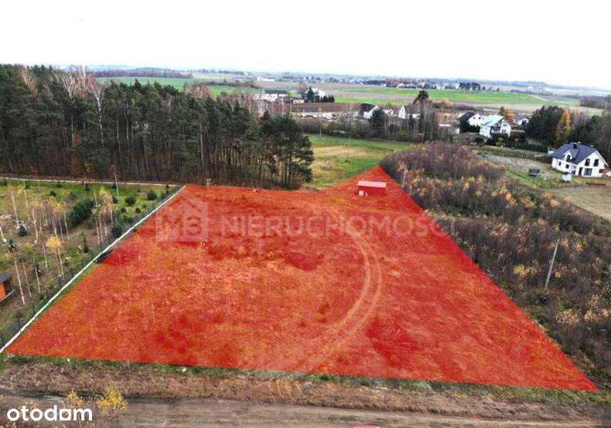 Działka przy lesie 3635 m2 - Lipinki Królewskie - Pełny obrazek: 2/6