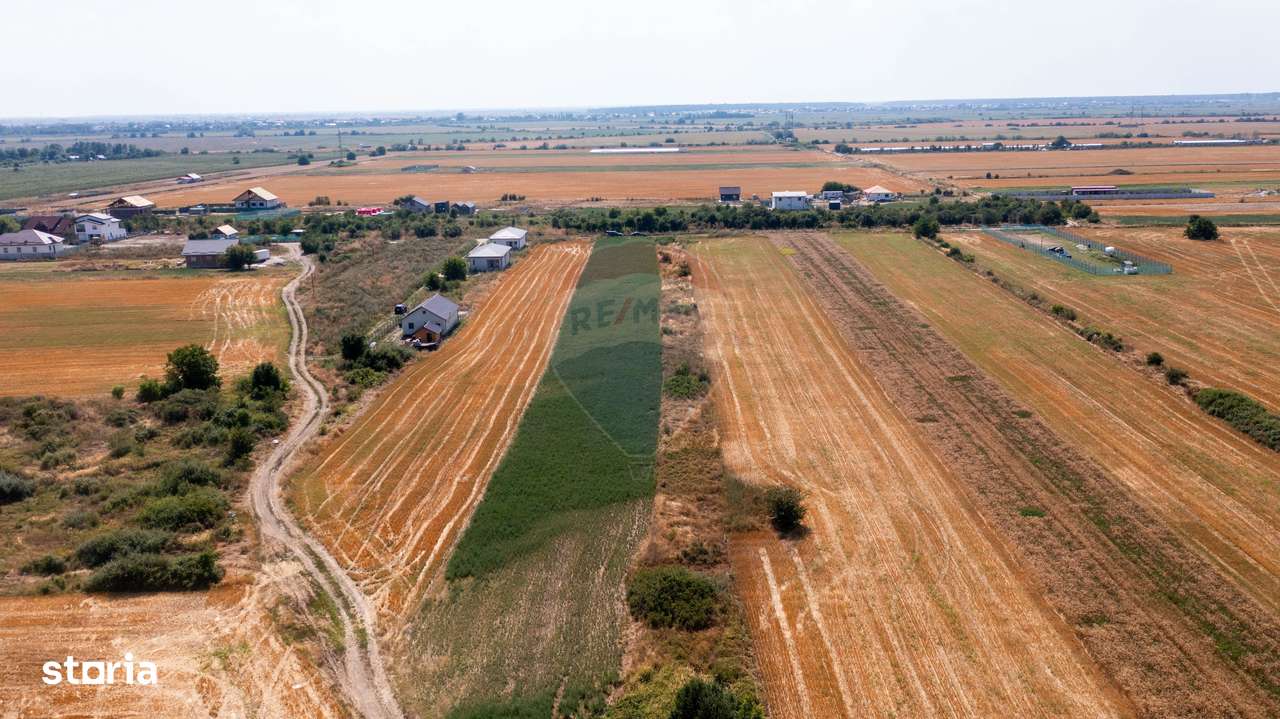 Vanzare teren intravilan 5,888 mp Sabareni / Strada sondei - Imagine principală: 5/10