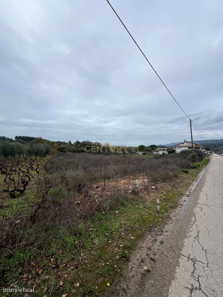Excelente Terreno na Aguda – Tranquilidade, Natureza e Ótimos Acessos - Grande imagem: 4/5