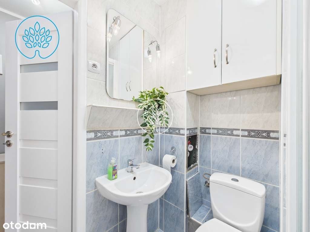 Dwupokojowe mieszkanie na wynajem - Pełny obrazek: 5/10