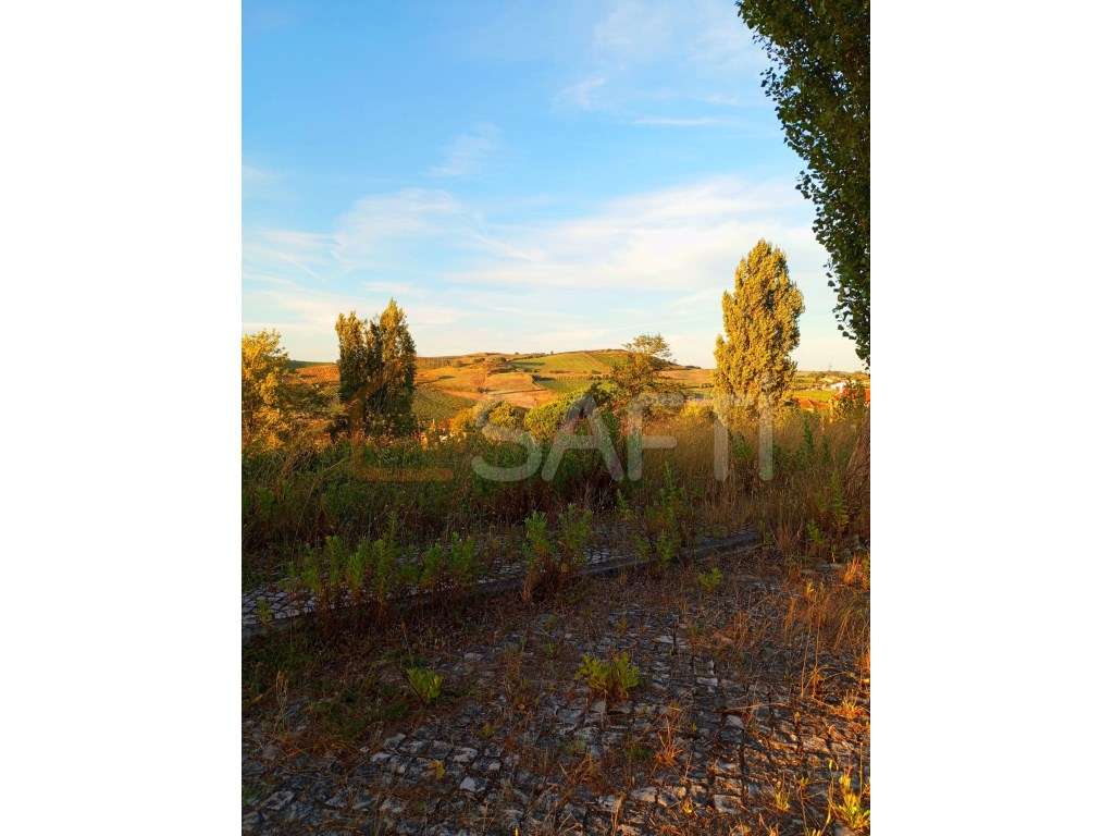 Lote de terreno para construção em Carrasqueira. - Grande imagem: 3/8