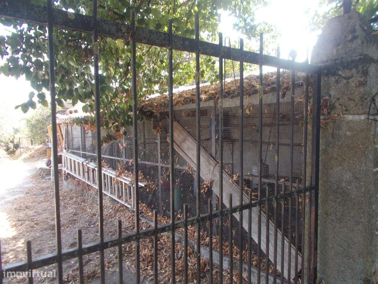 Chaves Moradia e Terreno 5 minutos Centro Cidade-12