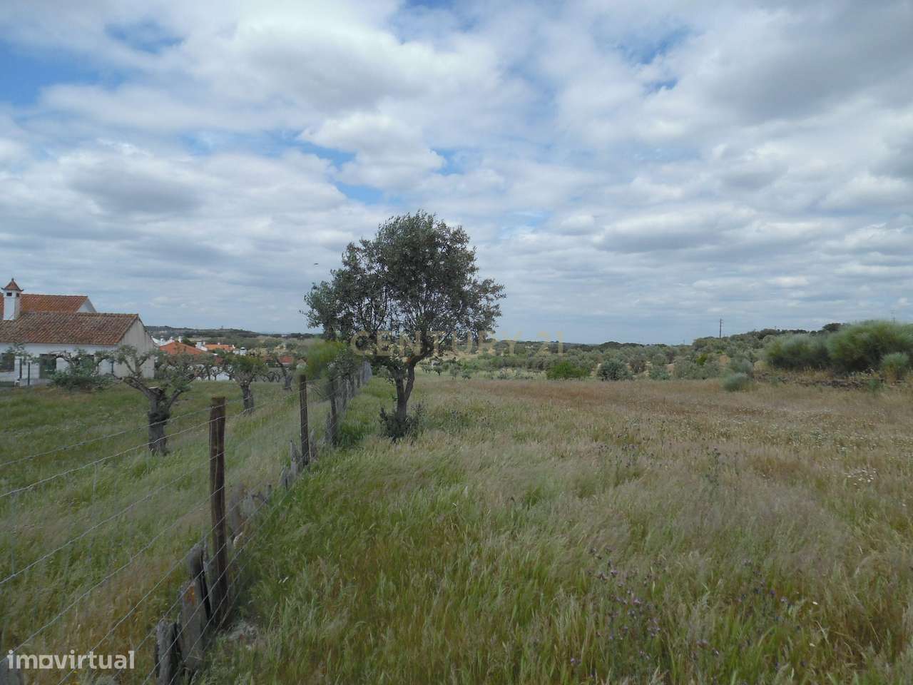 Quinta em Capelins,  Alandroal - Évora,  Oportunidade Única-22