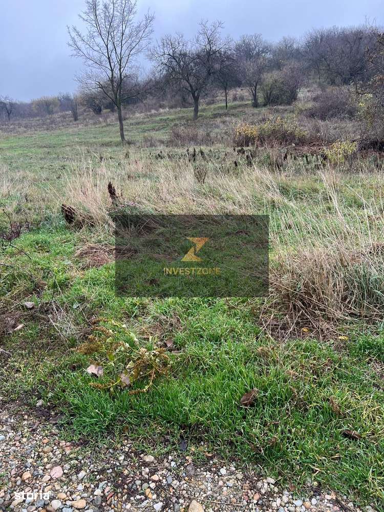 ⭐  Teren de 2.700 mp cu front generos – Ocazie în Oncea - Imagine principală: 4/4