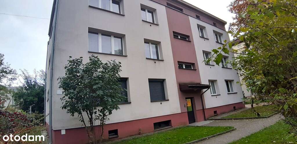 2-pokojowe+piwnica+strych - Pełny obrazek: 2/19