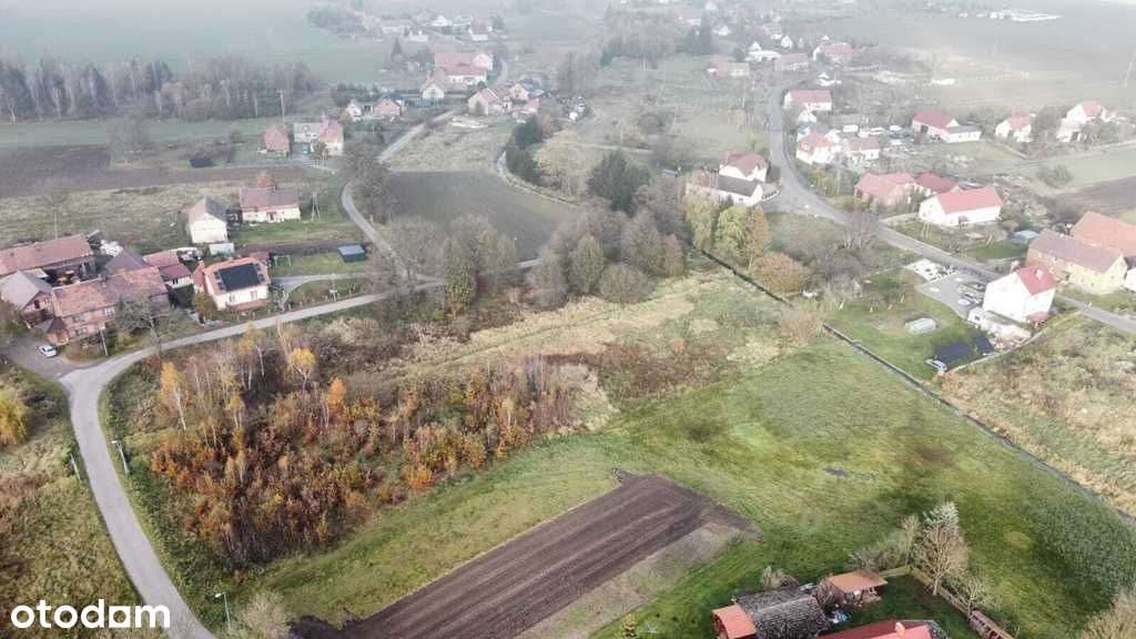 Działka mieszkalno-usługowa 50 arów - Pełny obrazek: 2/7