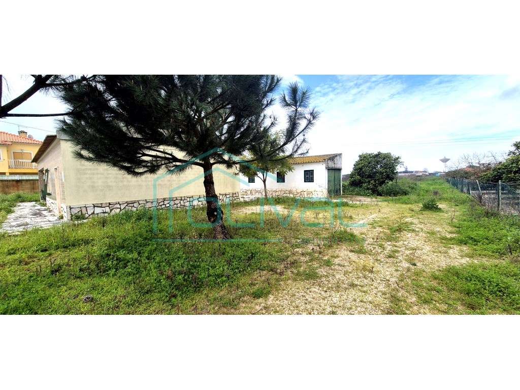 Moradia T3 com terreno - Grande imagem: 4/24