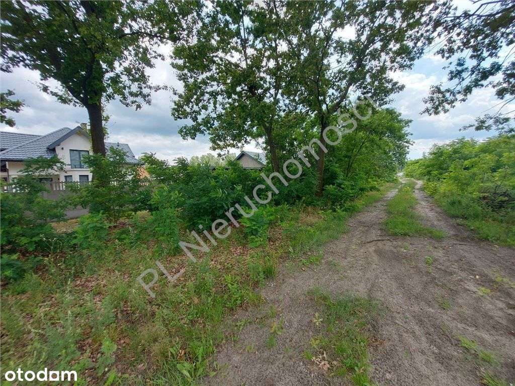 Działka Budowlana, Dojazd Asfaltem, Media. - Pełny obrazek: 5/8