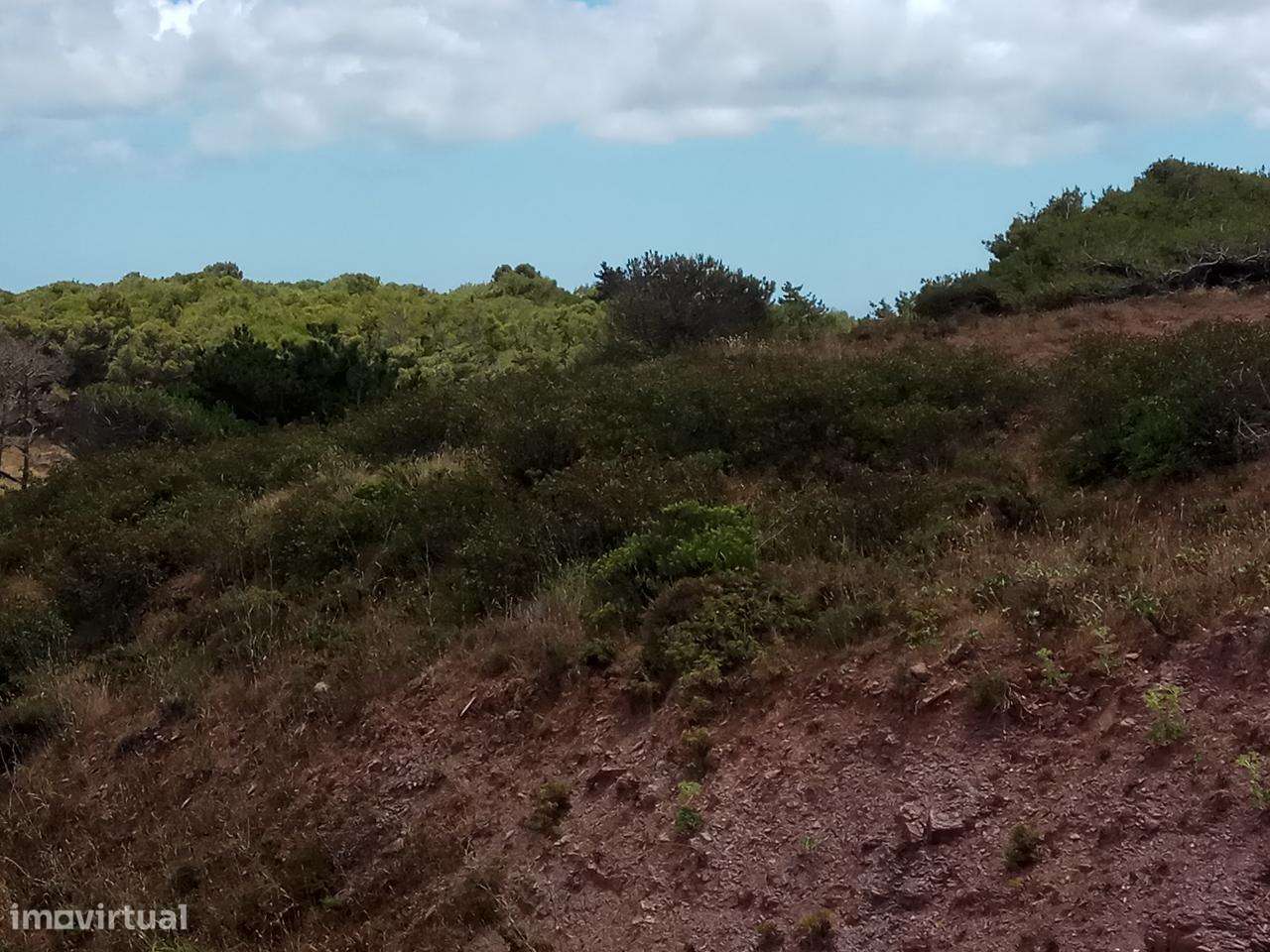 Terreno Rústico Currais Velhos - Vila do Bispo _ 664Lagos V13-13