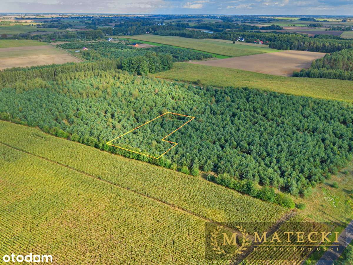 Wyjątkowa, duża działka z drzewami-17