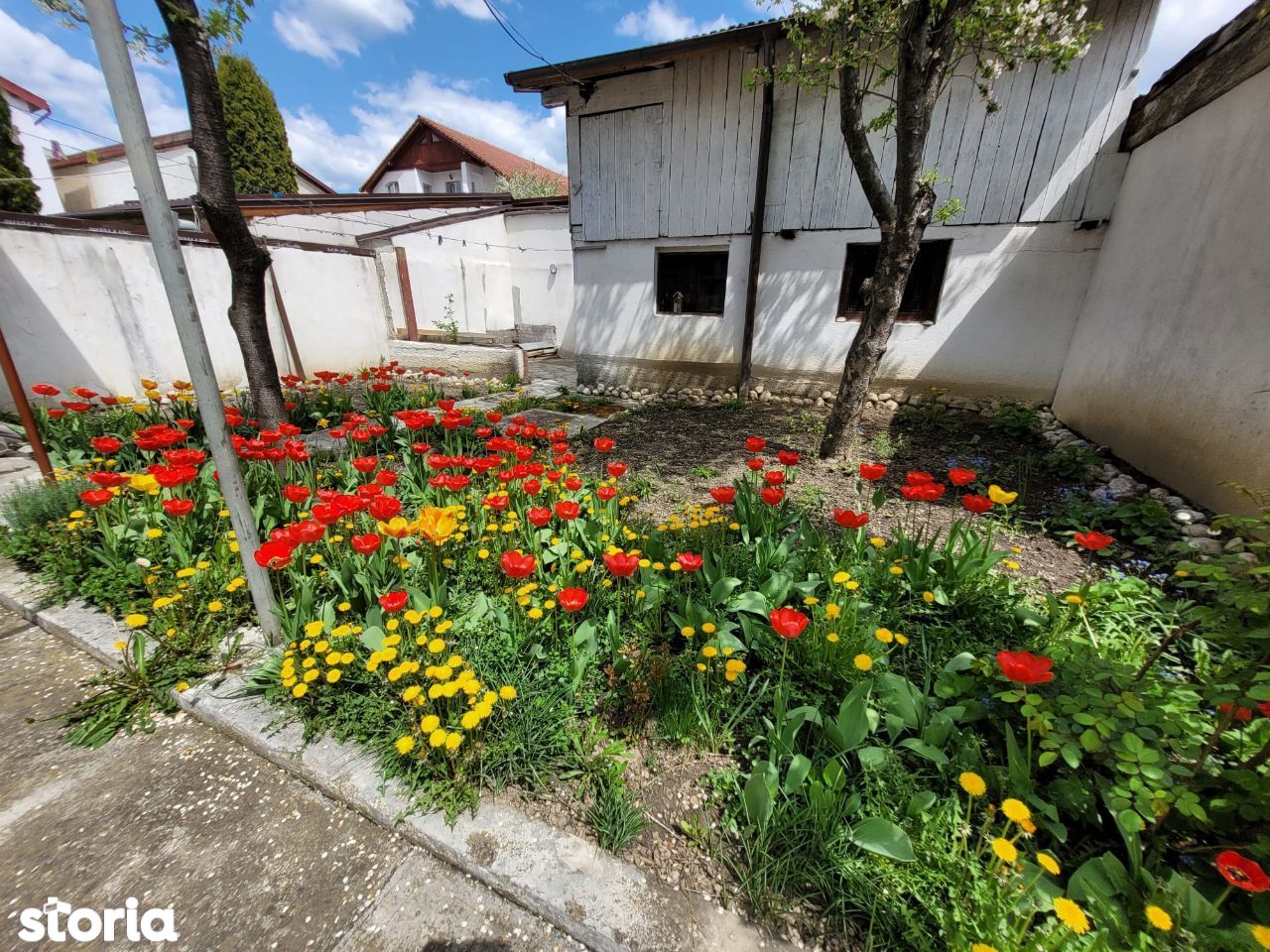 Casa singura in curte cu 310mp teren- Brasov, Comision 0%