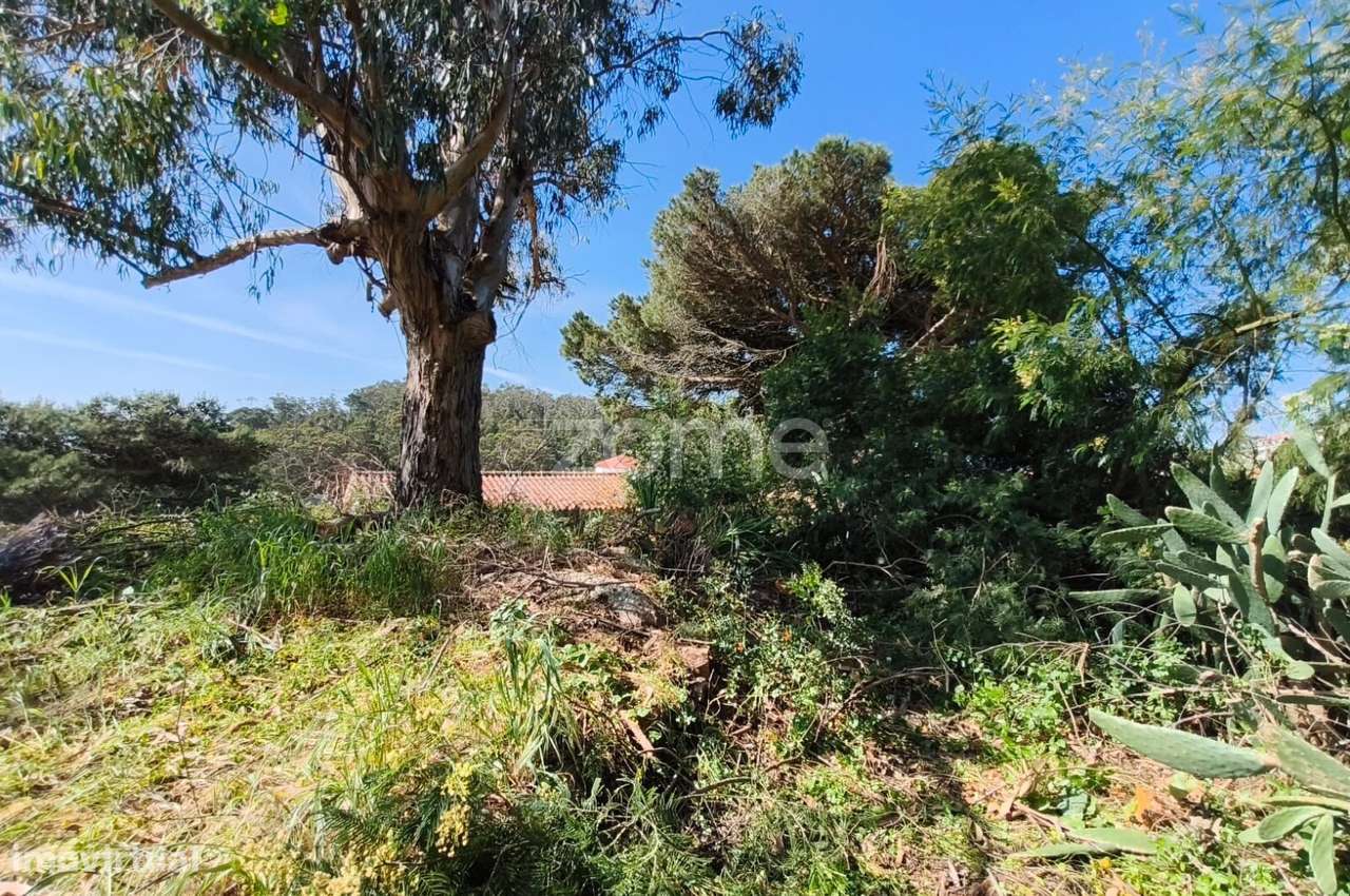 Propriedade única com 1.928 m² | Malveira da Serra-35