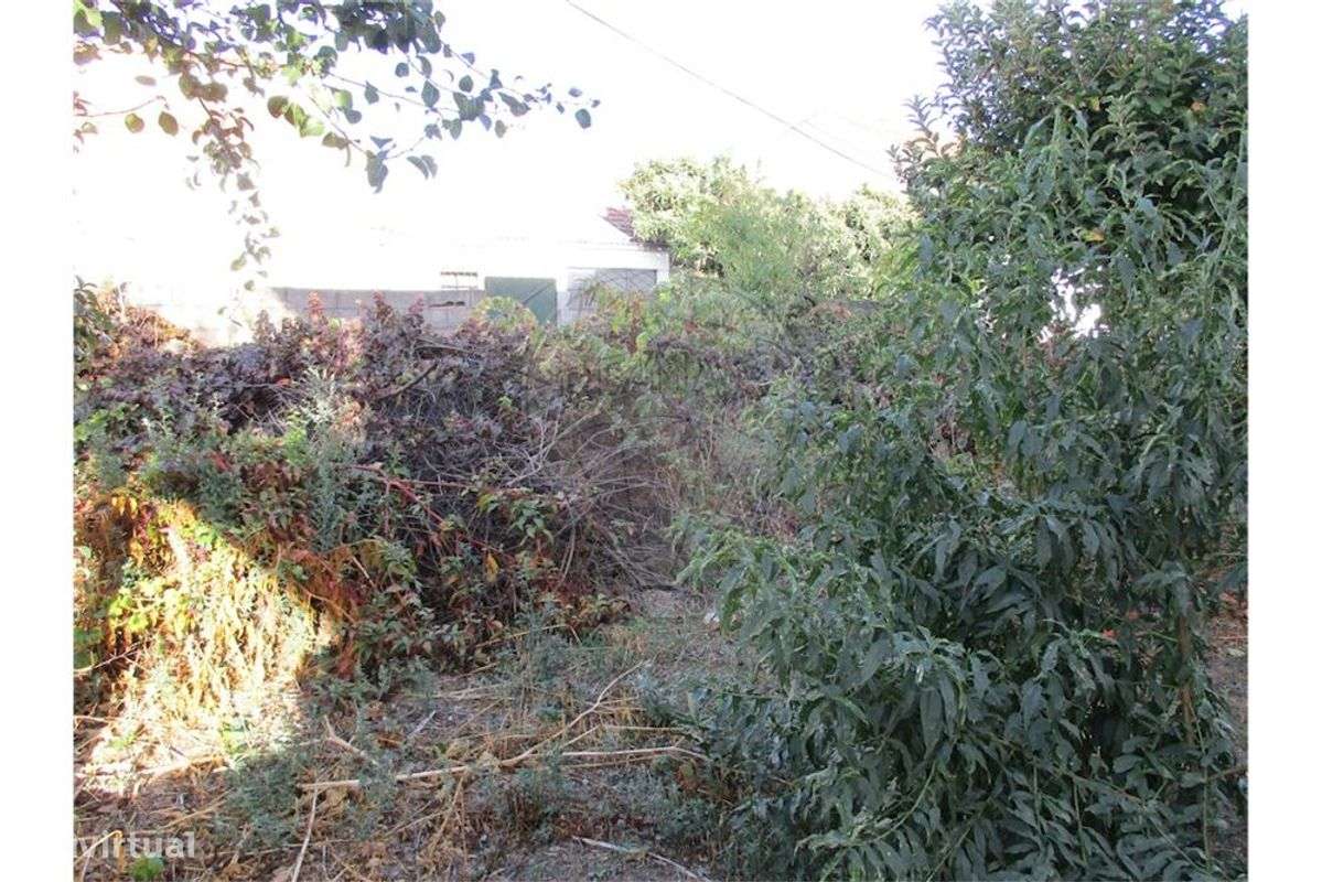 Quinta T0 para venda - Grande imagem: 3/9