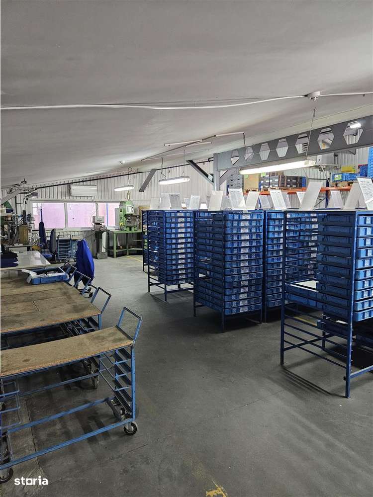 Exclusivitate - Proprietate Industriala De Vanzare - Productie - Depoz-9