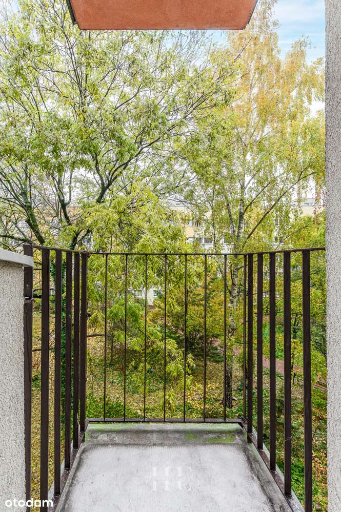 Dwustronne| Bazarek Mołdawska| Autobus| Ciche - Pełny obrazek: 4/18