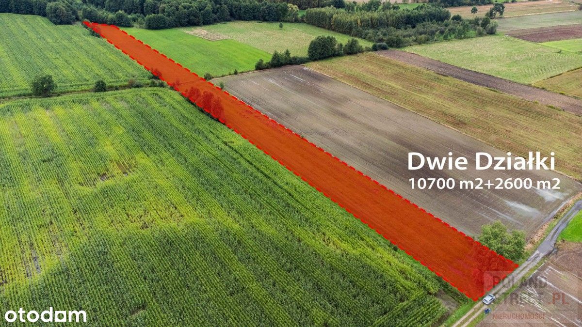 Ducka Wola działka rolna 13300 m².