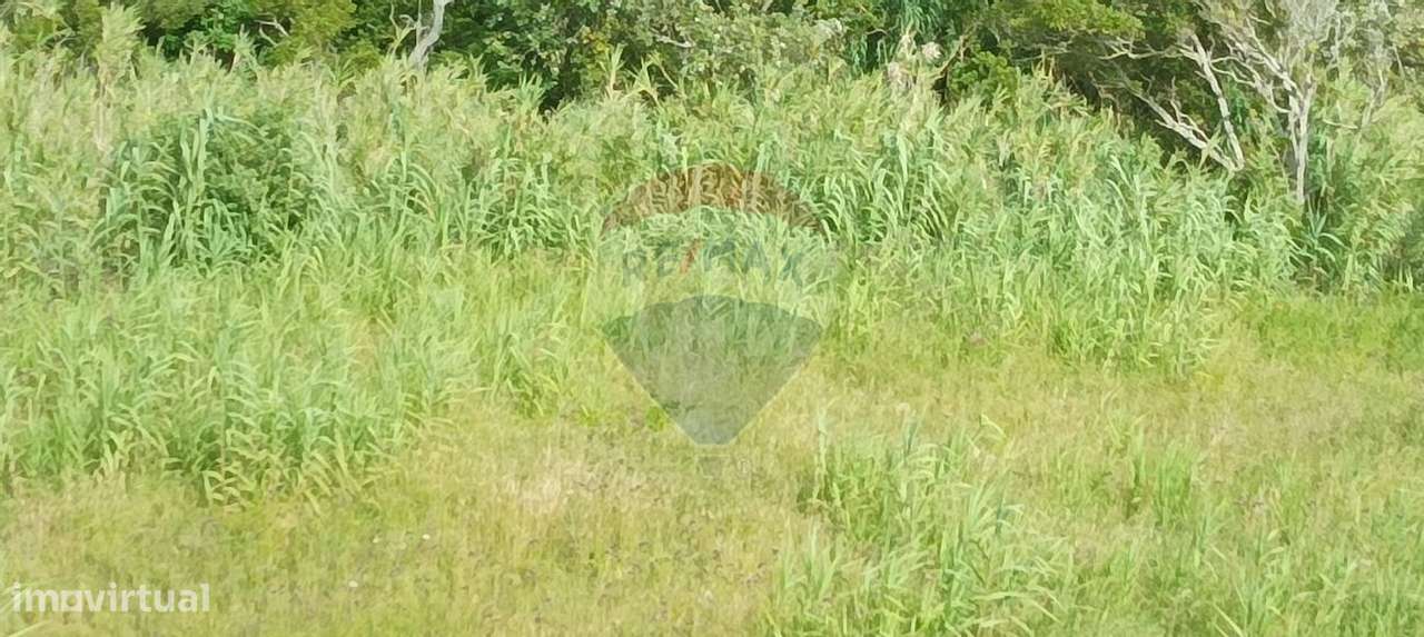 Moradia T0 para venda - Grande imagem: 4/4