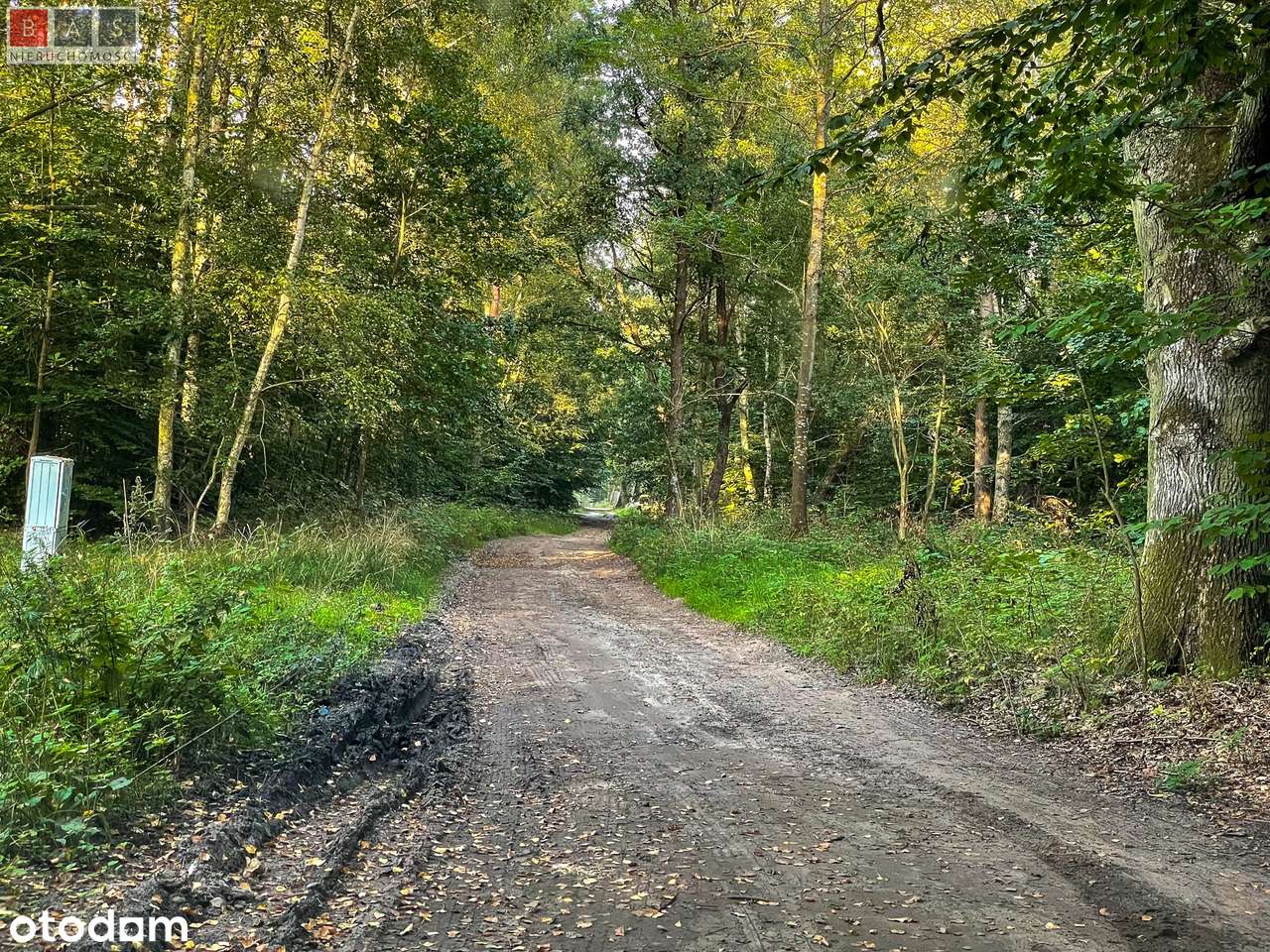 Działka z pozwoleniem na budowę w sąsiedztwie WPN - Pełny obrazek: 4/5