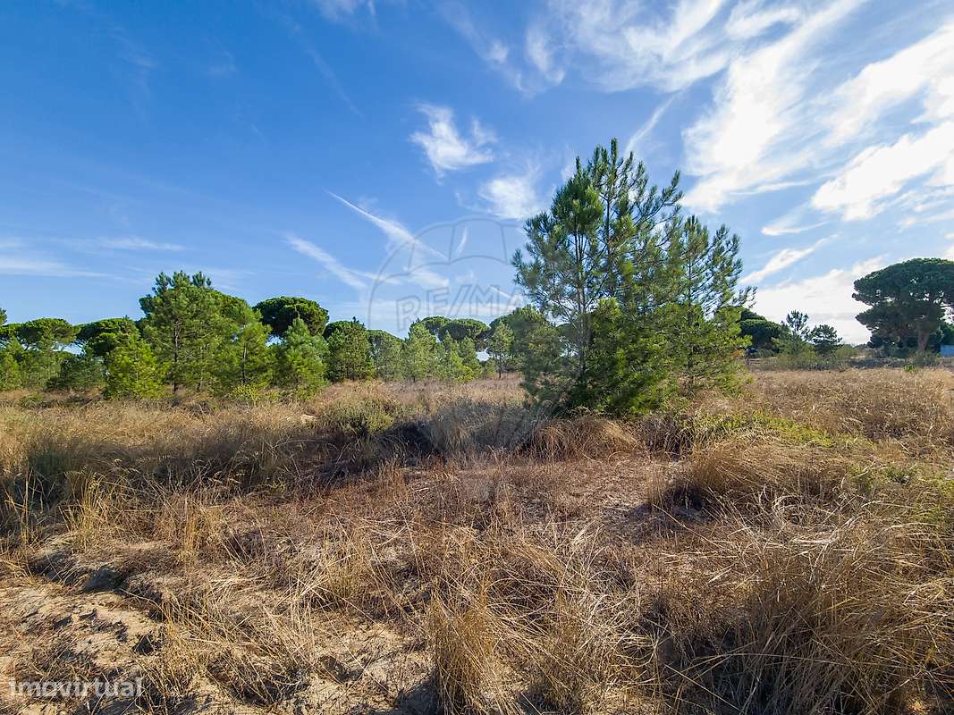 Terreno  para venda - Grande imagem: 5/13