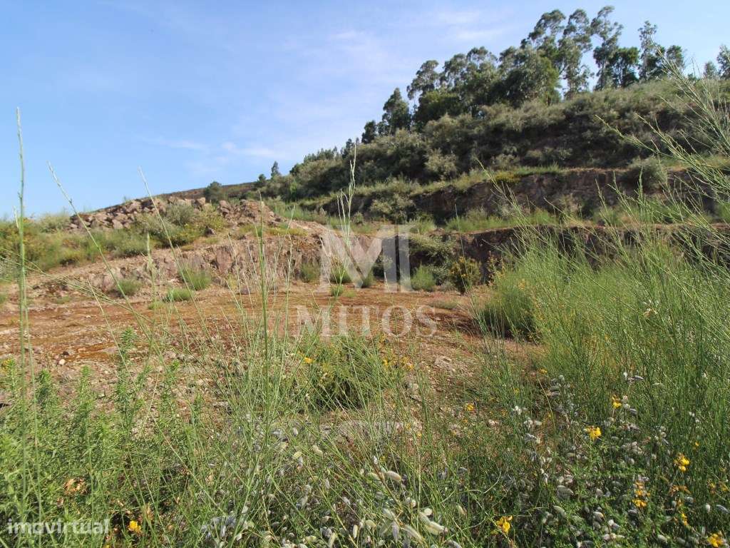 Lote em Carvoeiro - Grande imagem: 3/7