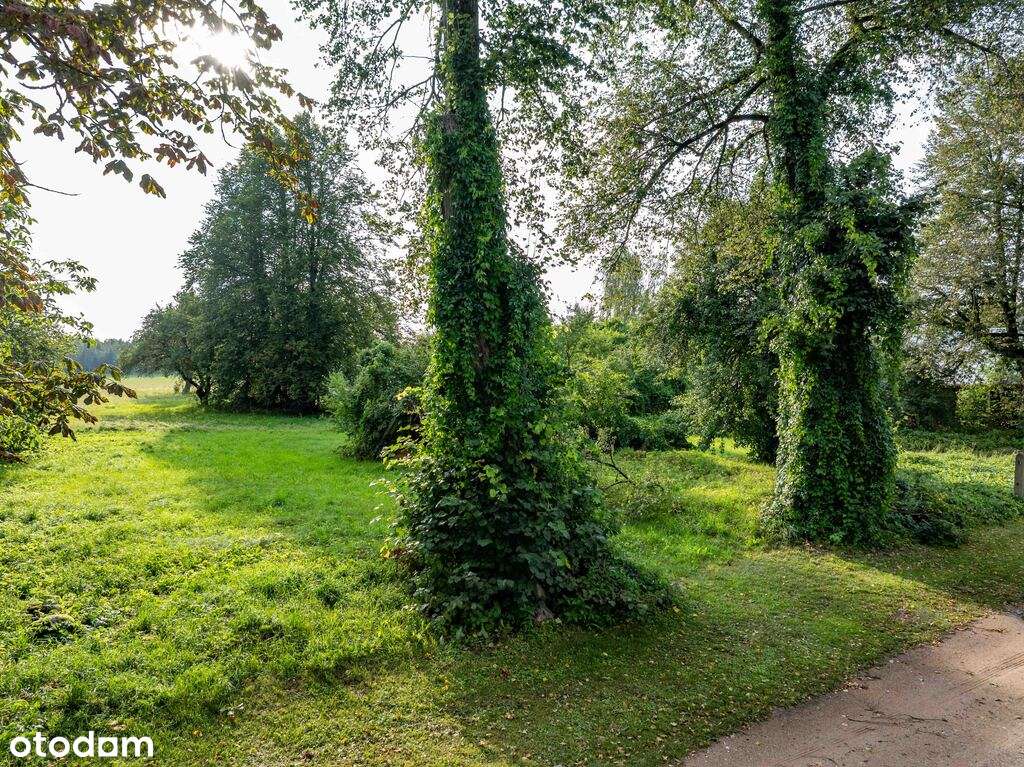 Działka w okolicy Krynek, Ostrów Południowy-8