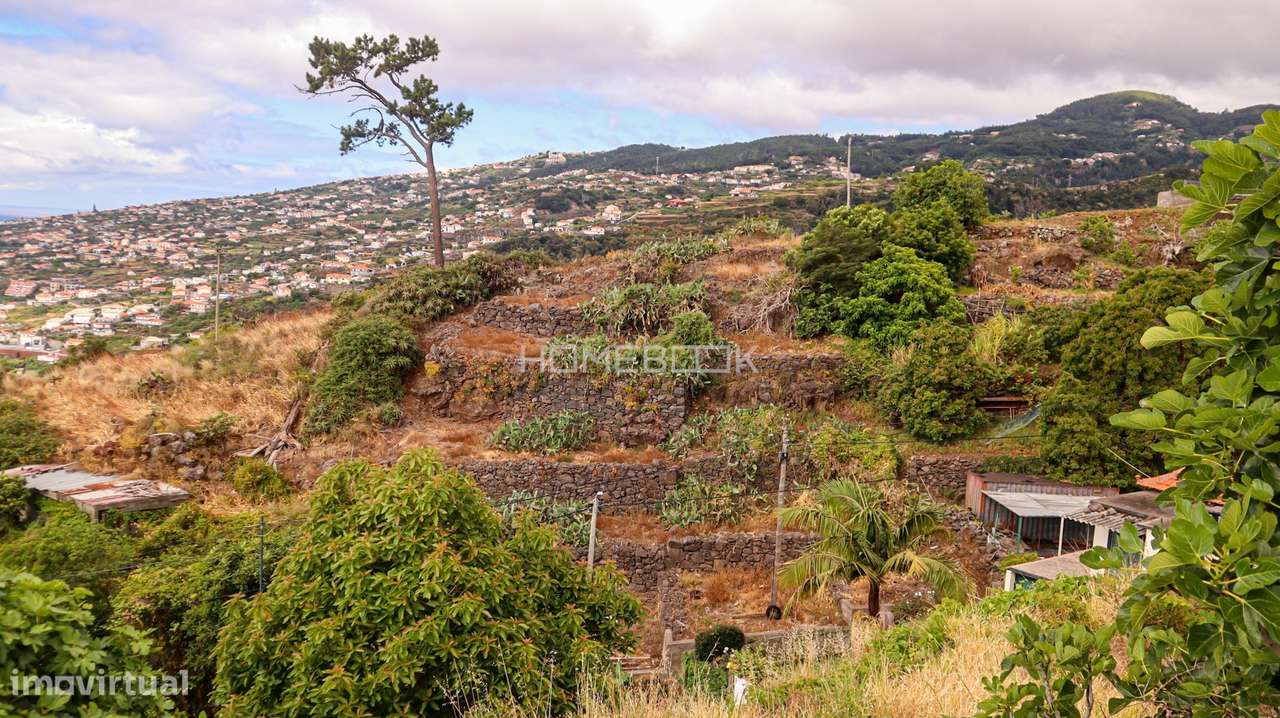 Terreno - Projeto Aprovado - Moradia Contemporânea - Santa Cruz - Grande imagem: 3/13