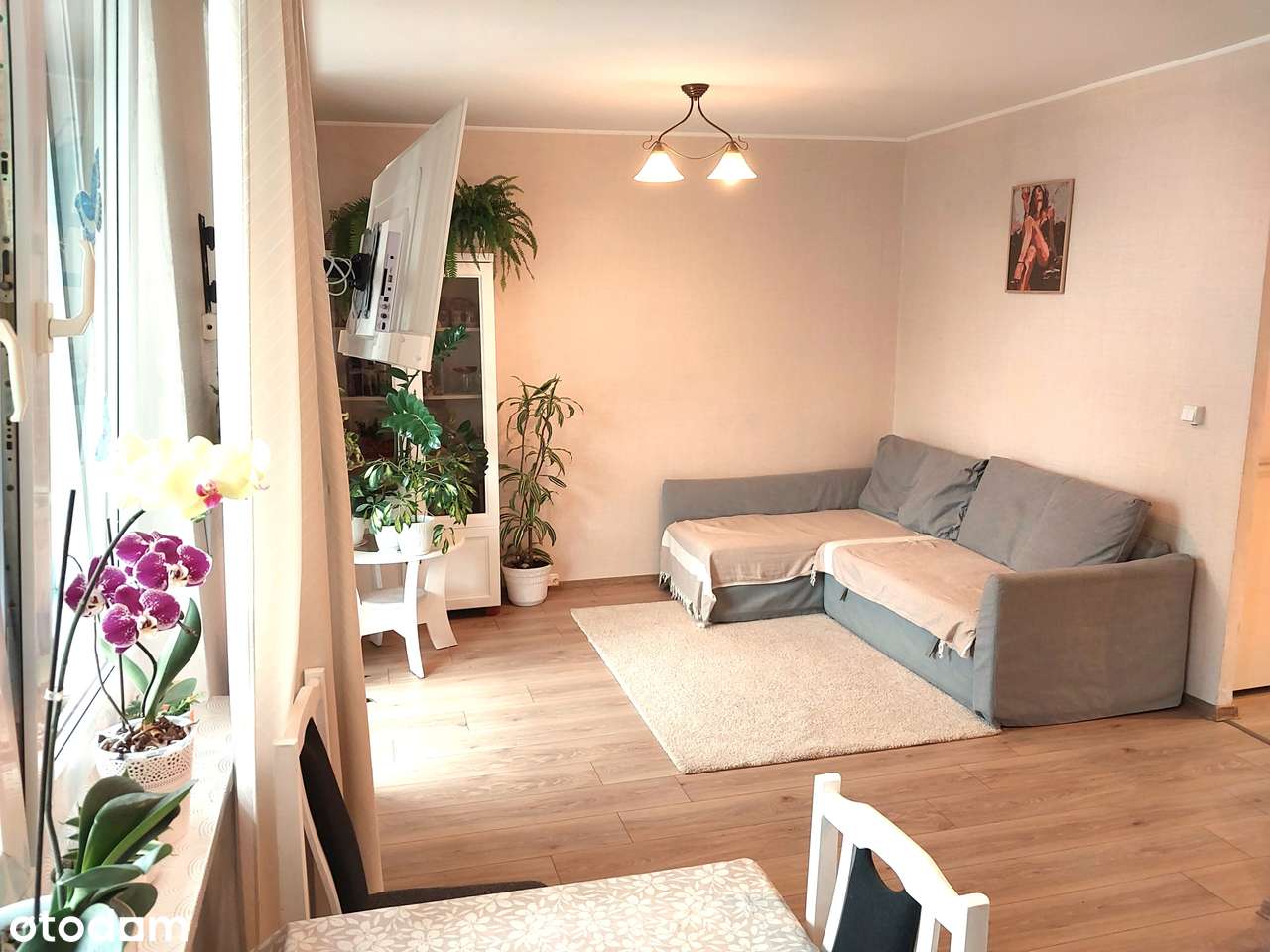 Eleganckie, Zadbane mieszkanie w poszukiwanym układzie 2x2, SPÓJRZ!-1