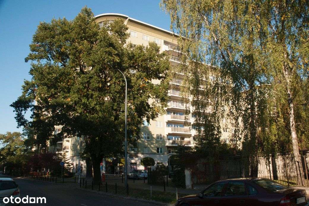 Lokal biurowo-usługowy 43 m² – Mokotów, ul. Wiel - Pełny obrazek: 3/9